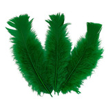 Pacote De Plumas E