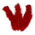 Pacote De Plumas E Penas Coloridas 200 Unidades Cor Vermelho