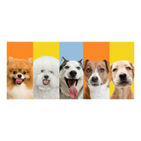 Painel Adesivo Pet Shop Veterinário Cachorro Gato 0009pdt