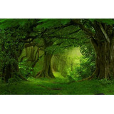 Painel De Tecido Sublimado Floresta Misteriosa 400x250cm Cor Colorido