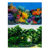 Painel Fundo Para Aquario 80x50cm Enfeite Tronco Mar Planta