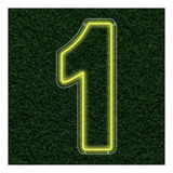 Painel Led Neon Número Luminoso 0 Ao 9 Decoração Festa 60cm
