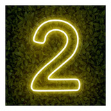 Painel Led Neon Número Luminoso 2 Dois 60cm Decoração Festa