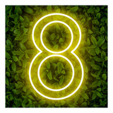 Painel Led Neon Número Luminoso 8 Oito 60cm Decoração Festa