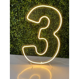 Painel Led Neon Números 0 A 9 Acrílico Cristal 50cm Altura