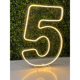 Painel Led Neon Números 0 A 9 Acrílico Cristal 50cm Altura