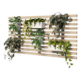 Planta