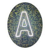 Acrilico