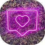 Painel Neon Led Like Instagram Iluminação 35cm Cor Rosa 110V 220V Luz Coração Instagramavel