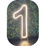 Painel Neon Led Numero Um 1 Instagram Iluminação Branco 30cm