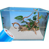 Painel P Aquario Fundo