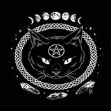Painel Toalha Gato Preto Fases Lunares Wica Jogo Taro Runas