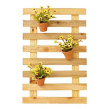 Planta
