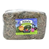 Paiol Do Bicho Alfafa Prensada 500g