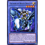 Paladin Of White Dragon