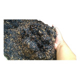 Palha De Arroz Carbonizada Para Suculentas Cactos 2kg
