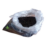 Palha De Arroz Casca Carbonizada Para Cactos E Suculentas