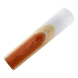 Palheta Plastireed Para Sax