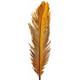 Palmeira Cica Natural Para Decoração