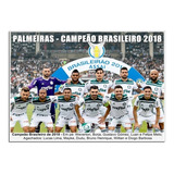 Palmeiras Campeão Brasileiro 2018 30x42cm 