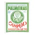 Palmeiras Campeão Paulista De 93 - Livro Ilustrado  ( 10 )