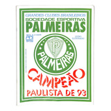 Palmeiras Campeão Paulista De 93 - Livro Ilustrado ( 10 )