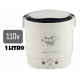 110v