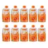 Papapa Kit 10un   1 Sabor   Papinha Organica 100g