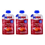 Papapa Kit 3un 1 Sabor Papinha Organica Com Carne 120g