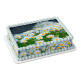 Margarida