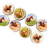 Papel Arroz Redondo Cortado Comestível Cavalos