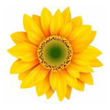 Cm