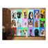 Papel De Parede 3d Animais Raças Petshop Painel 4m² Anm420
