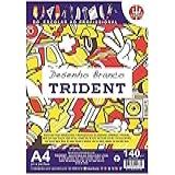 Papel Desenho 140 G M A4 Branco 21 X 29 7 Cm 20 Folhas Trident