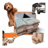 Papel Jornal Fardo De Pacote Limpo Folhas Grandes Pet 10kg
