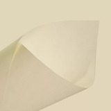Papel Para Livro Polen