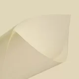 Papel Para Livro Polen
