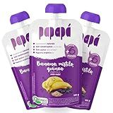 Papinha Orgânica Banana Mirtilo Quinoa Papapá 100g 3 Unidades