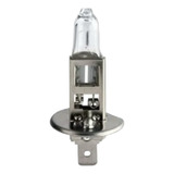 Par 2 Lampadas H1