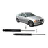Par Amortecedor Traseiro Bmw 318i 318is 323i 325i 323is E46