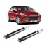 Par Amortecedor Traseiro Peugeot 307 - Com Garantia