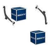 Nakata