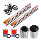 Par Bengala Factor 150 Ybr 125 Fazer 150 Cofap Retentor