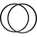 Disc