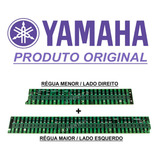 Par De Reguas Teclado