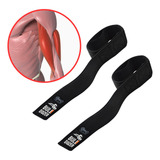 Musculação