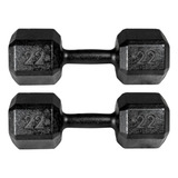 Par Halter Sextavado Dumbbell Pintado 22kg total 44kg Cross