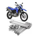 Xt660