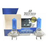 Par Lâmpada H7 8500k 70w 24v 4cm Tigerauto