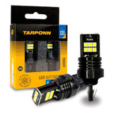 Tarponn